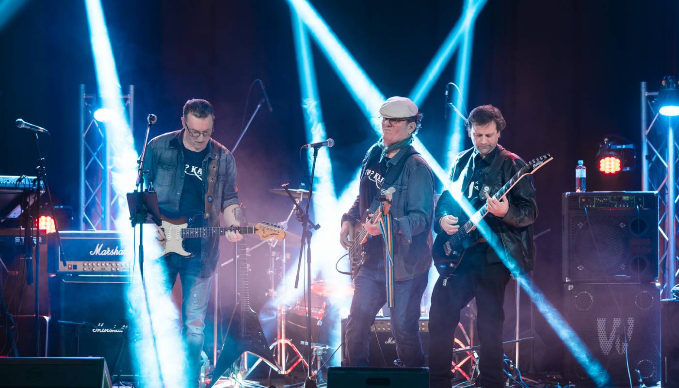 Humanitarni koncert, Daj 5 za gladnu djecu svijeta - Delnice